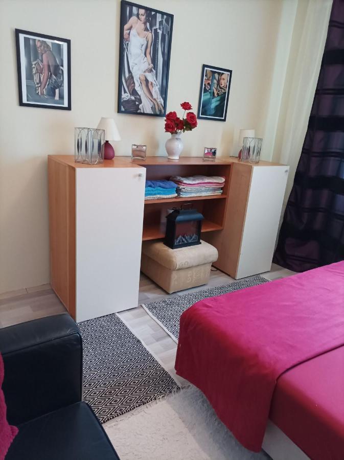 Panorama Apartment Near Szeged Plaza Екстериор снимка