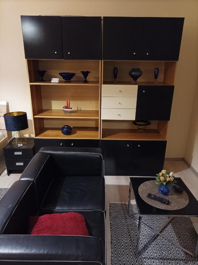 Panorama Apartment Near Szeged Plaza Екстериор снимка